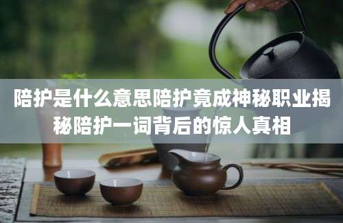 陪护是什么意思陪护竟成神秘职业揭秘陪护一词背后的惊人真相