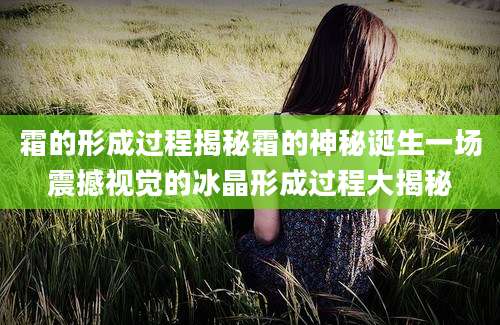霜的形成过程揭秘霜的神秘诞生一场震撼视觉的冰晶形成过程大揭秘