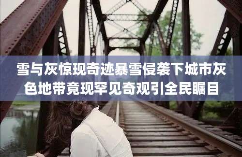 雪与灰惊现奇迹暴雪侵袭下城市灰色地带竟现罕见奇观引全民瞩目
