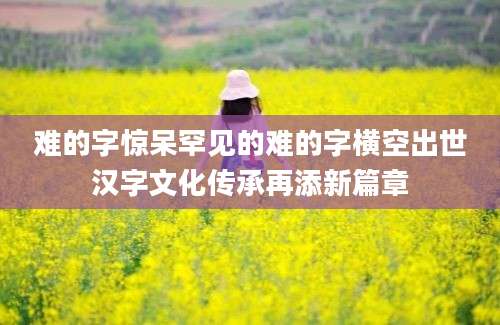 难的字惊呆罕见的难的字横空出世汉字文化传承再添新篇章