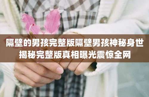 隔壁的男孩完整版隔壁男孩神秘身世揭秘完整版真相曝光震惊全网