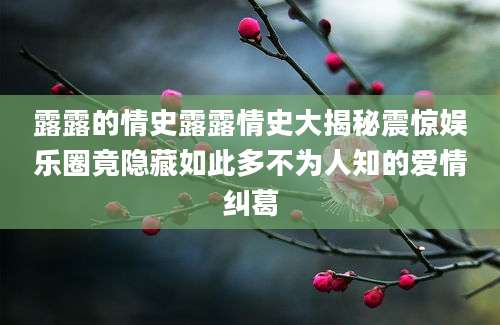 露露的情史露露情史大揭秘震惊娱乐圈竟隐藏如此多不为人知的爱情纠葛