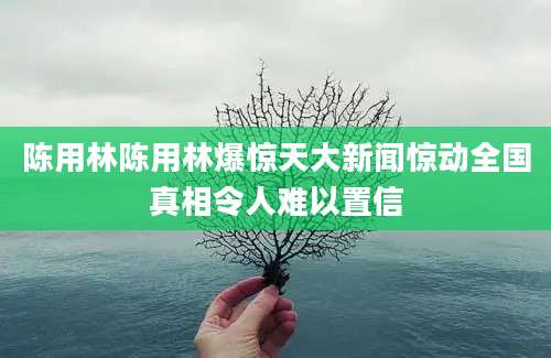 陈用林陈用林爆惊天大新闻惊动全国真相令人难以置信