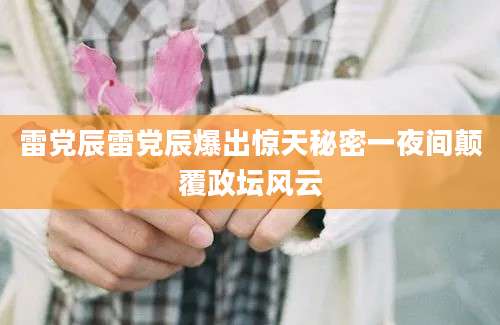 雷党辰雷党辰爆出惊天秘密一夜间颠覆政坛风云