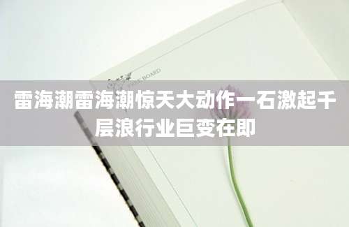 雷海潮雷海潮惊天大动作一石激起千层浪行业巨变在即