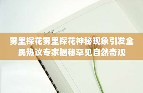 雾里探花雾里探花神秘现象引发全民热议专家揭秘罕见自然奇观