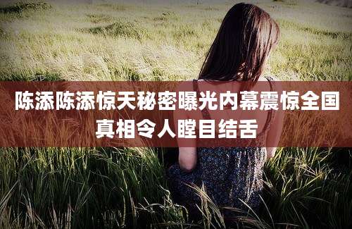 陈添陈添惊天秘密曝光内幕震惊全国真相令人瞠目结舌