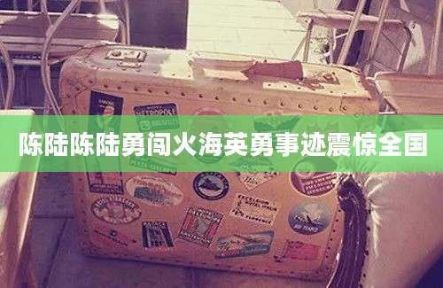陈陆陈陆勇闯火海英勇事迹震惊全国