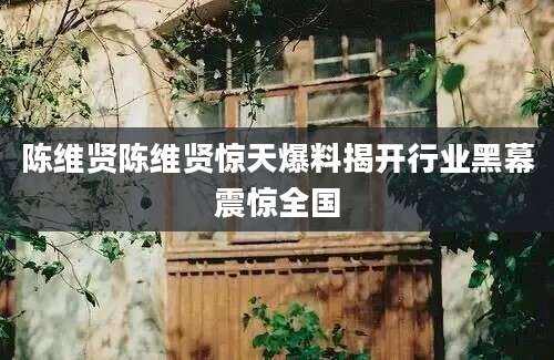 陈维贤陈维贤惊天爆料揭开行业黑幕震惊全国