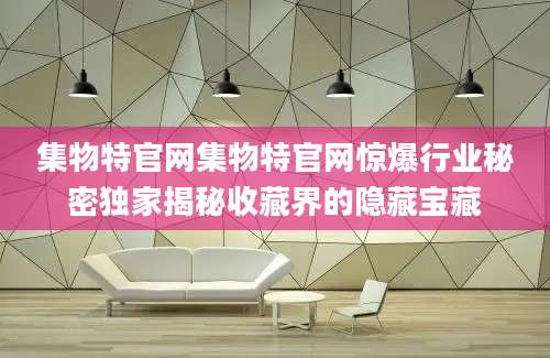 集物特官网集物特官网惊爆行业秘密独家揭秘收藏界的隐藏宝藏