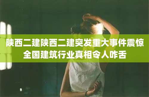 陕西二建陕西二建突发重大事件震惊全国建筑行业真相令人咋舌