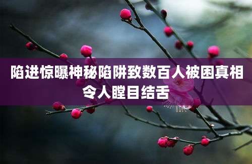 陷进惊曝神秘陷阱致数百人被困真相令人瞠目结舌