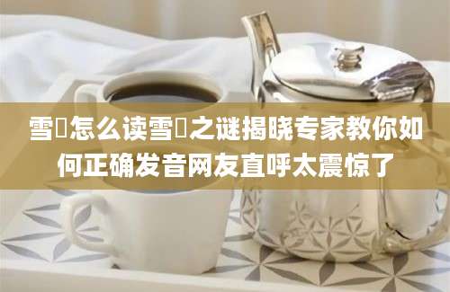 雪鸮怎么读雪鸮之谜揭晓专家教你如何正确发音网友直呼太震惊了