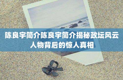 陈良宇简介陈良宇简介揭秘政坛风云人物背后的惊人真相