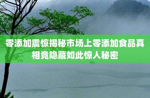 零添加震惊揭秘市场上零添加食品真相竟隐藏如此惊人秘密