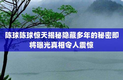 陈球陈球惊天揭秘隐藏多年的秘密即将曝光真相令人震惊