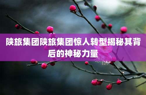 陕旅集团陕旅集团惊人转型揭秘其背后的神秘力量