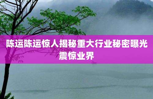 陈运陈运惊人揭秘重大行业秘密曝光震惊业界