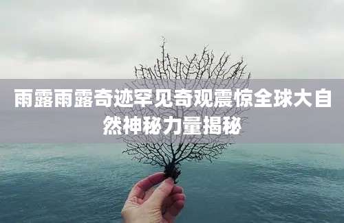 雨露雨露奇迹罕见奇观震惊全球大自然神秘力量揭秘
