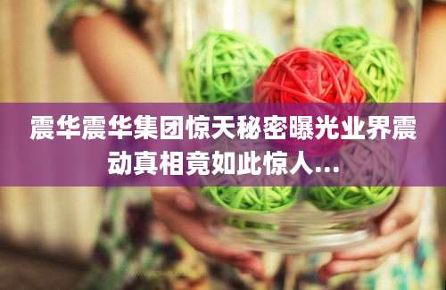 震华震华集团惊天秘密曝光业界震动真相竟如此惊人...