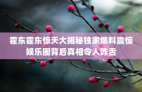 霍东霍东惊天大揭秘独家爆料震惊娱乐圈背后真相令人咋舌