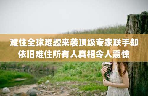 难住全球难题来袭顶级专家联手却依旧难住所有人真相令人震惊