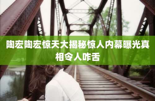 陶宏陶宏惊天大揭秘惊人内幕曝光真相令人咋舌