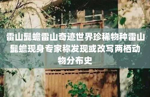 雷山髭蟾雷山奇迹世界珍稀物种雷山髭蟾现身专家称发现或改写两栖动物分布史