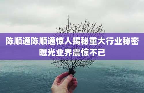 陈顺通陈顺通惊人揭秘重大行业秘密曝光业界震惊不已