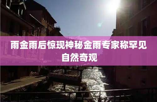 雨金雨后惊现神秘金雨专家称罕见自然奇观