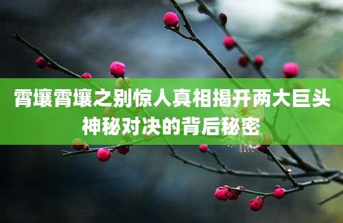霄壤霄壤之别惊人真相揭开两大巨头神秘对决的背后秘密