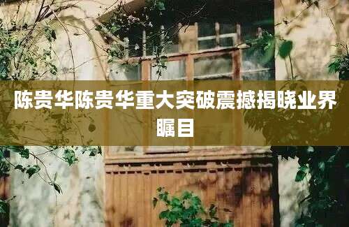 陈贵华陈贵华重大突破震撼揭晓业界瞩目