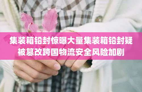 集装箱铅封惊曝大量集装箱铅封疑被篡改跨国物流安全风险加剧