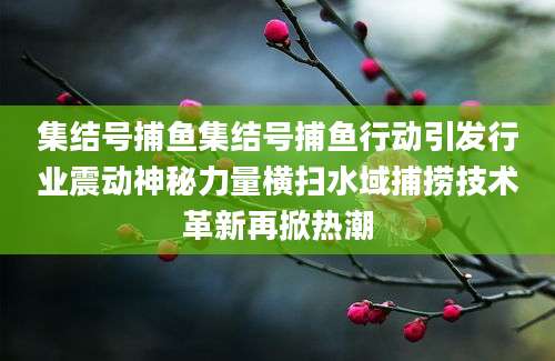 集结号捕鱼集结号捕鱼行动引发行业震动神秘力量横扫水域捕捞技术革新再掀热潮