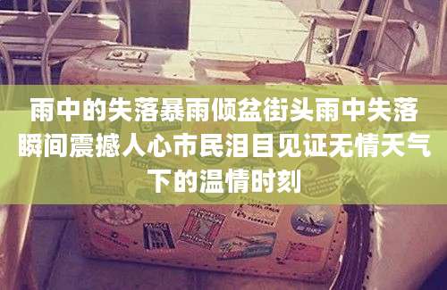 雨中的失落暴雨倾盆街头雨中失落瞬间震撼人心市民泪目见证无情天气下的温情时刻