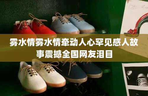 雾水情雾水情牵动人心罕见感人故事震撼全国网友泪目