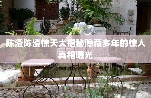陈澄陈澄惊天大揭秘隐藏多年的惊人真相曝光
